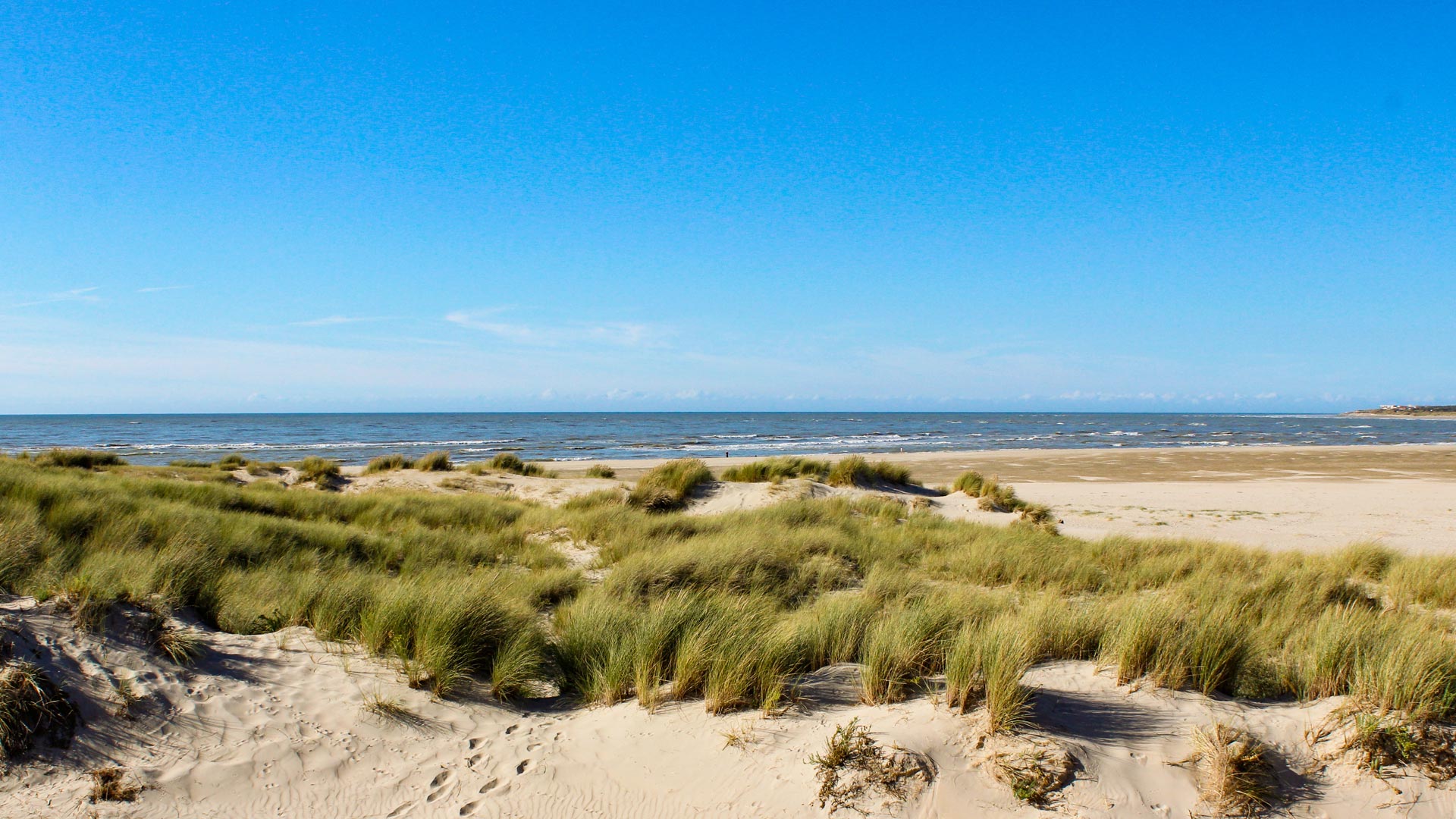 La Crête des Dunes