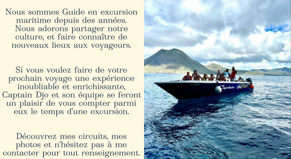 El dorado description